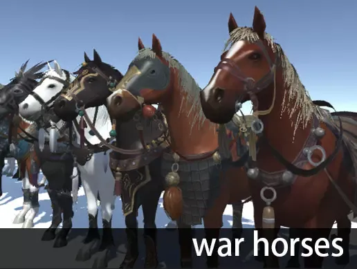 Horses - Stallions