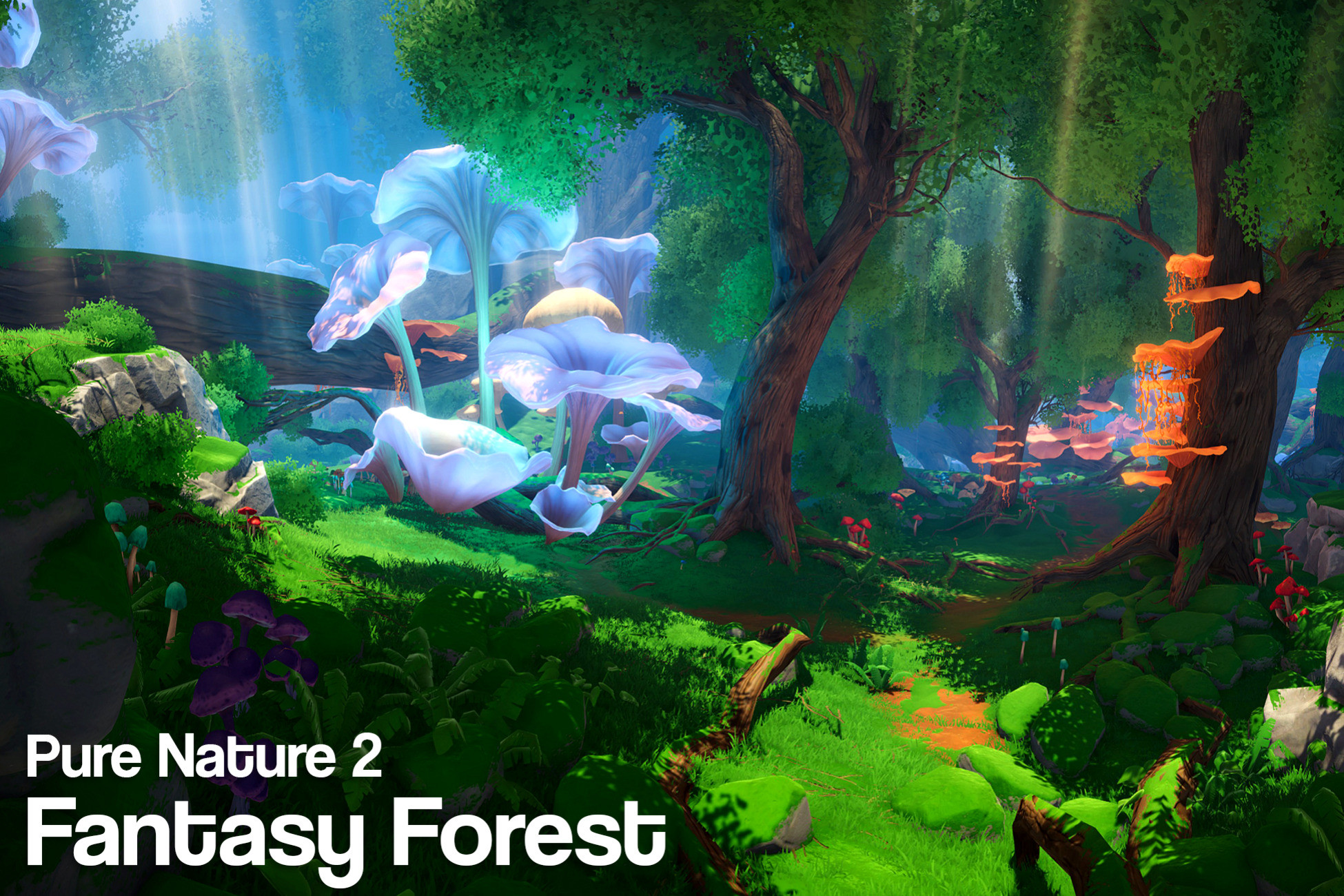Pure Nature 2 : Fantasy Forest preview 2