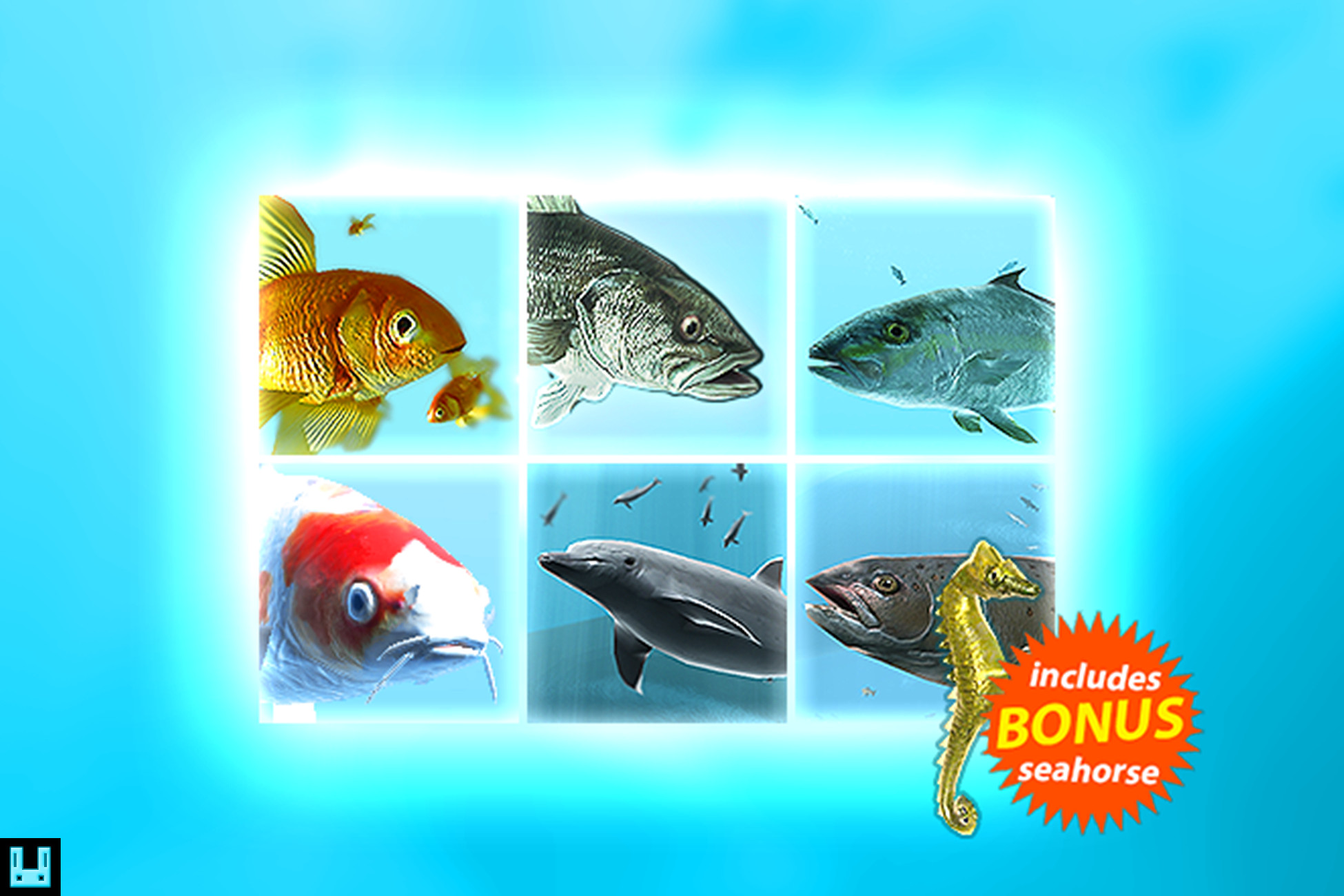 Fish School Bundle