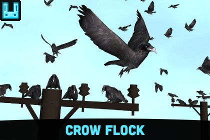 Bird Flock: Crow