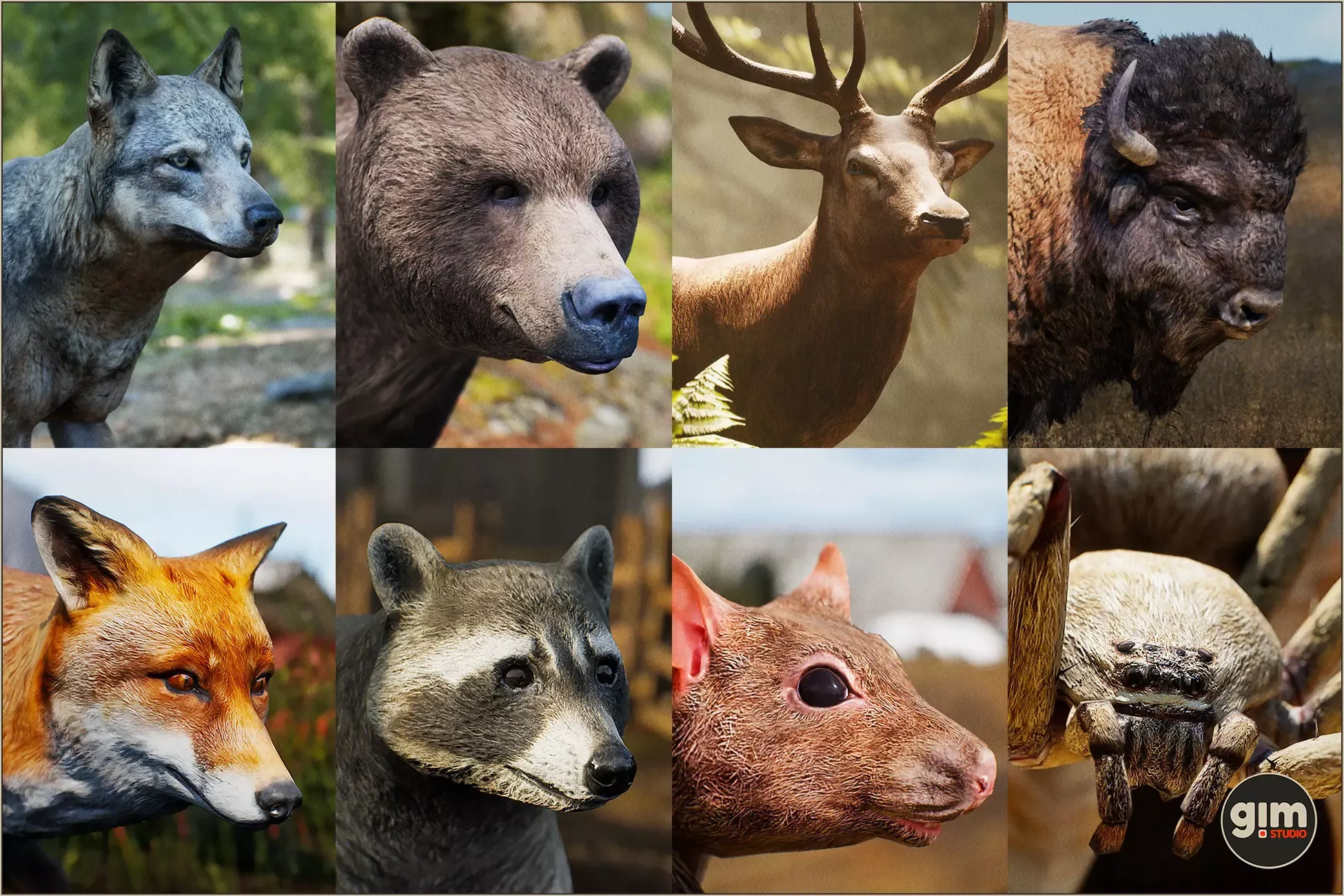Animalia - Starter Kit