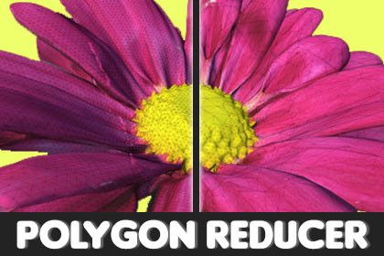 Polygon Reducer