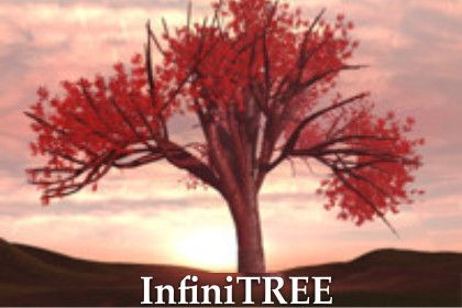 InfiniTREE - Procedural Forest Creation & Optimization