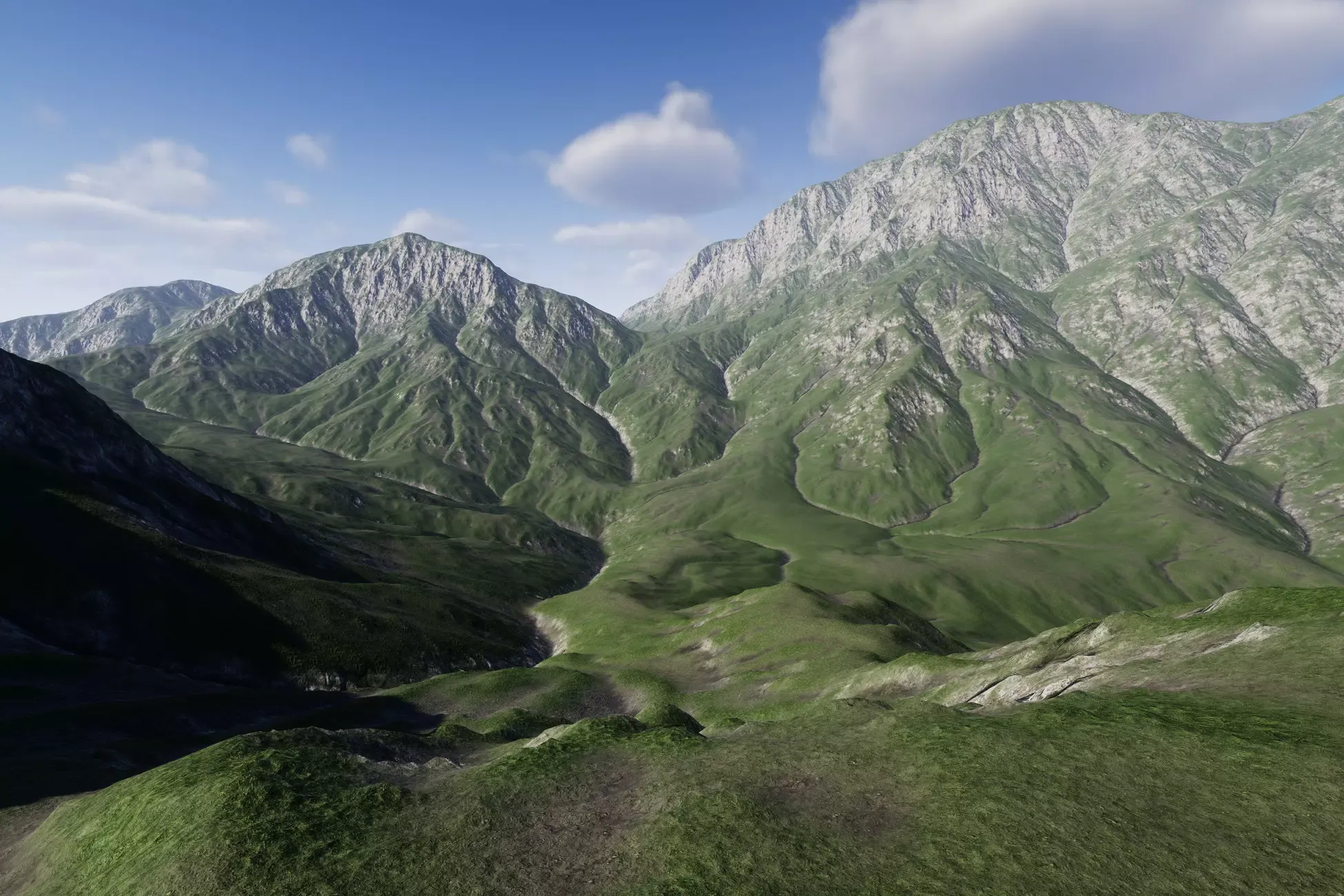 Landscape Ground Pack