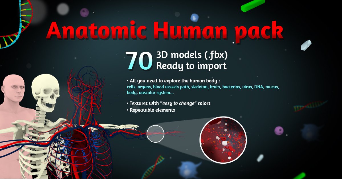 Anatomic Pack preview 2