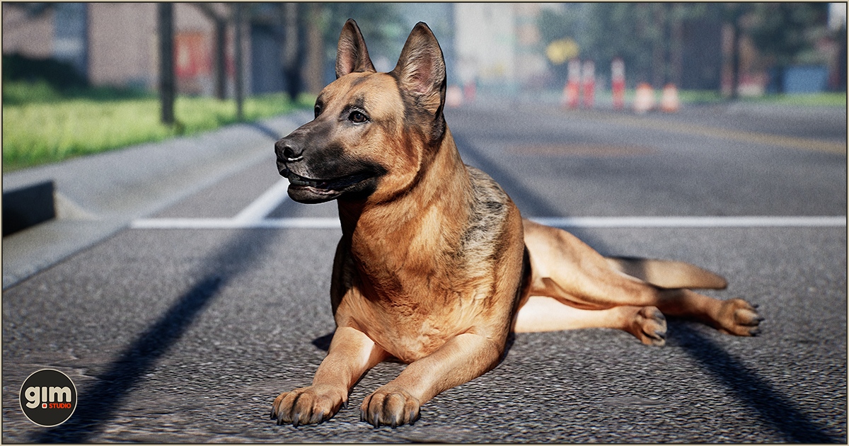 Animalia - German Shepherd (male) preview 2