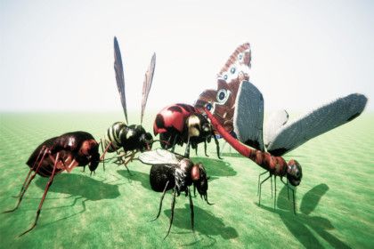InsectPackLowPolyV2