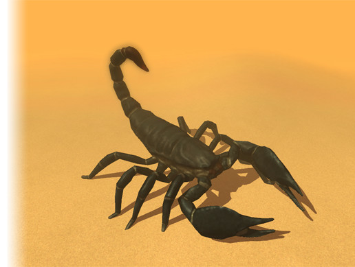 Scorpion preview 2