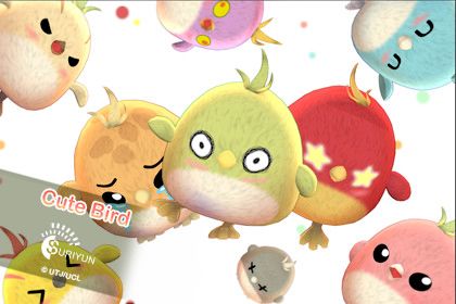 Cute Bird
