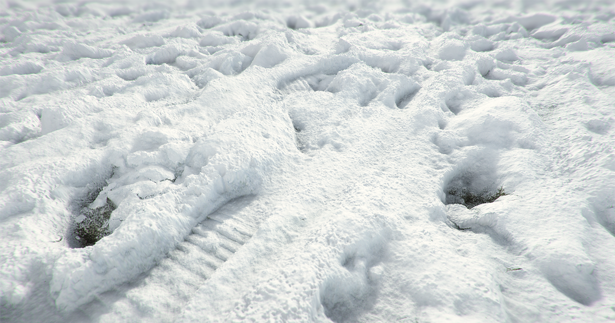 Beast - Advanced Tessellation Shader preview 2