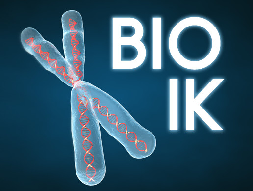 Bio IK preview 2