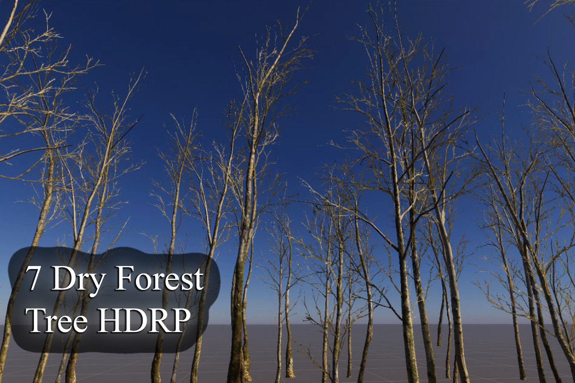 7 Dry Forest tree HDRP preview 2