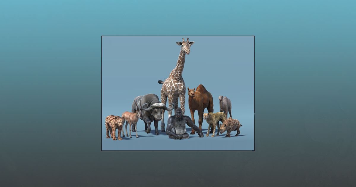 African Animal Pack 2