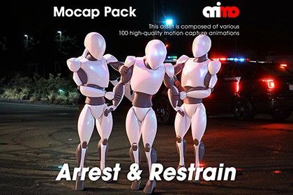 AA_Arrest & Restrain